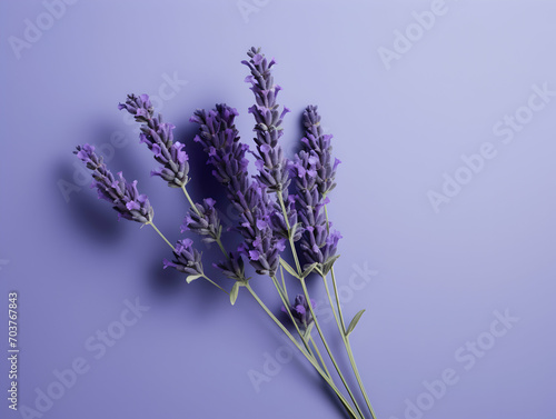 lavender flower in studio background  single lavender flower  Beautiful flower images