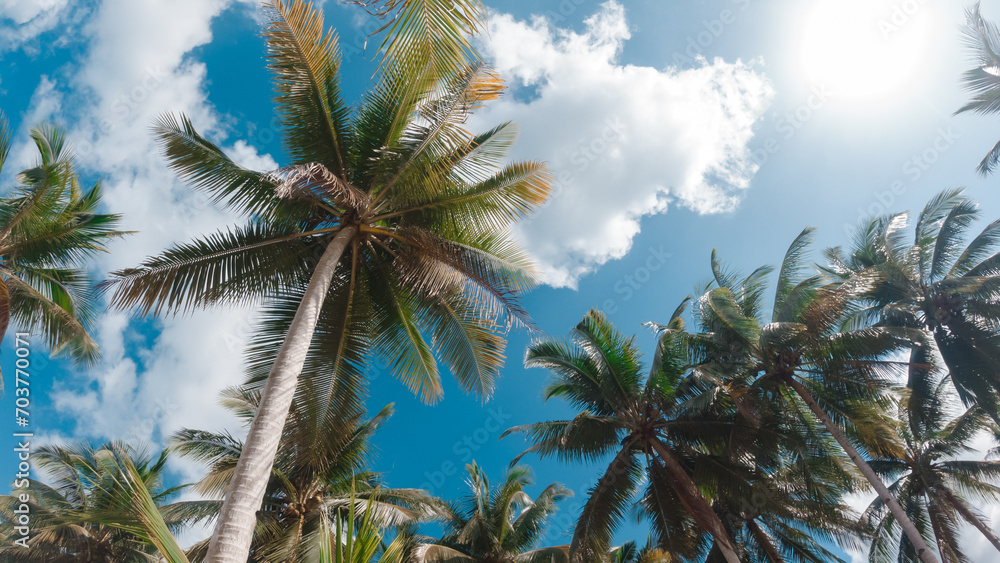 Obraz premium Bottom view of coconut palm trees in sunshine. Palm trees against a beautiful blue sky. Green palm trees on blue sky background. Travel concept.