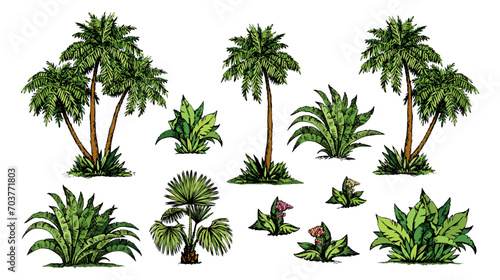 Palm forest. Vector drawing