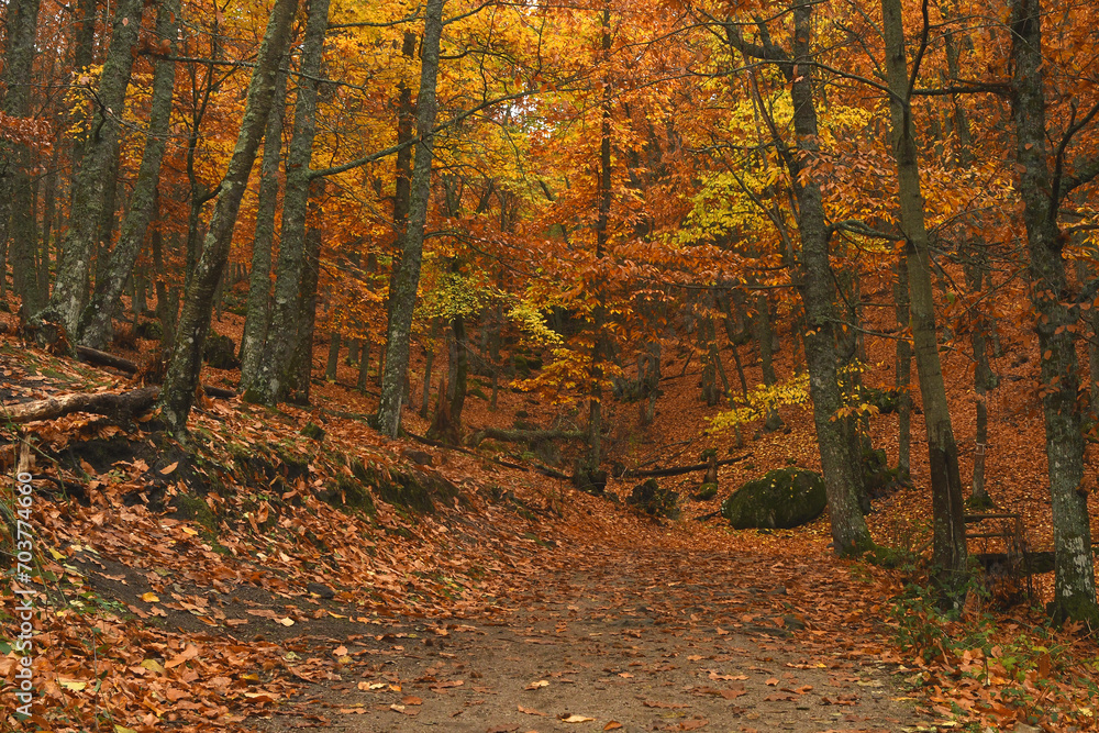 paisajes y colores del otoño