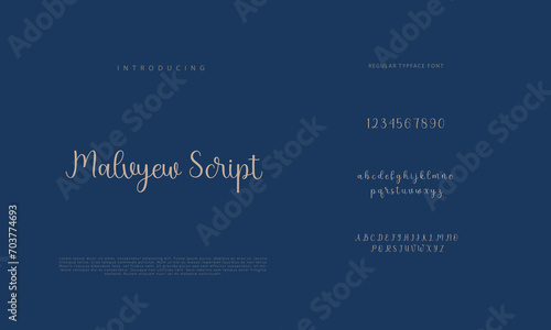 Signature Font Calligraphy Logotype Script Brush Font Type Font lettering handwritten 