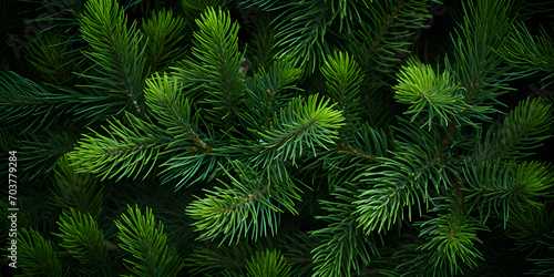 Green Prickly Branches of a FurTree or Pine, Illustration of a vibrant green pine tree up close Christmas tree branches, Christmas tree branches of tidewater green color background.  photo
