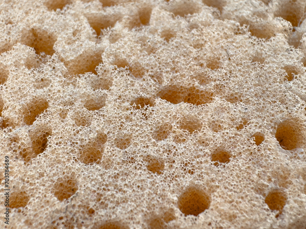 Spongy surface, close-up texture. Spongy surface, close-up texture.