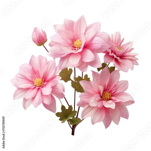 Gorgeous pink flowers bloom outside with loved ones isolated on transparent background