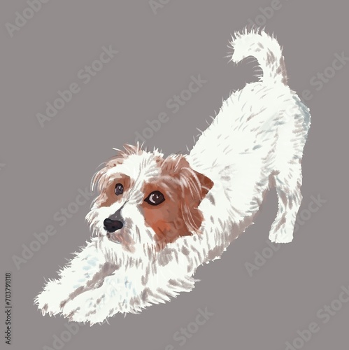 Illustration of Jack Russell dog in stretching pose