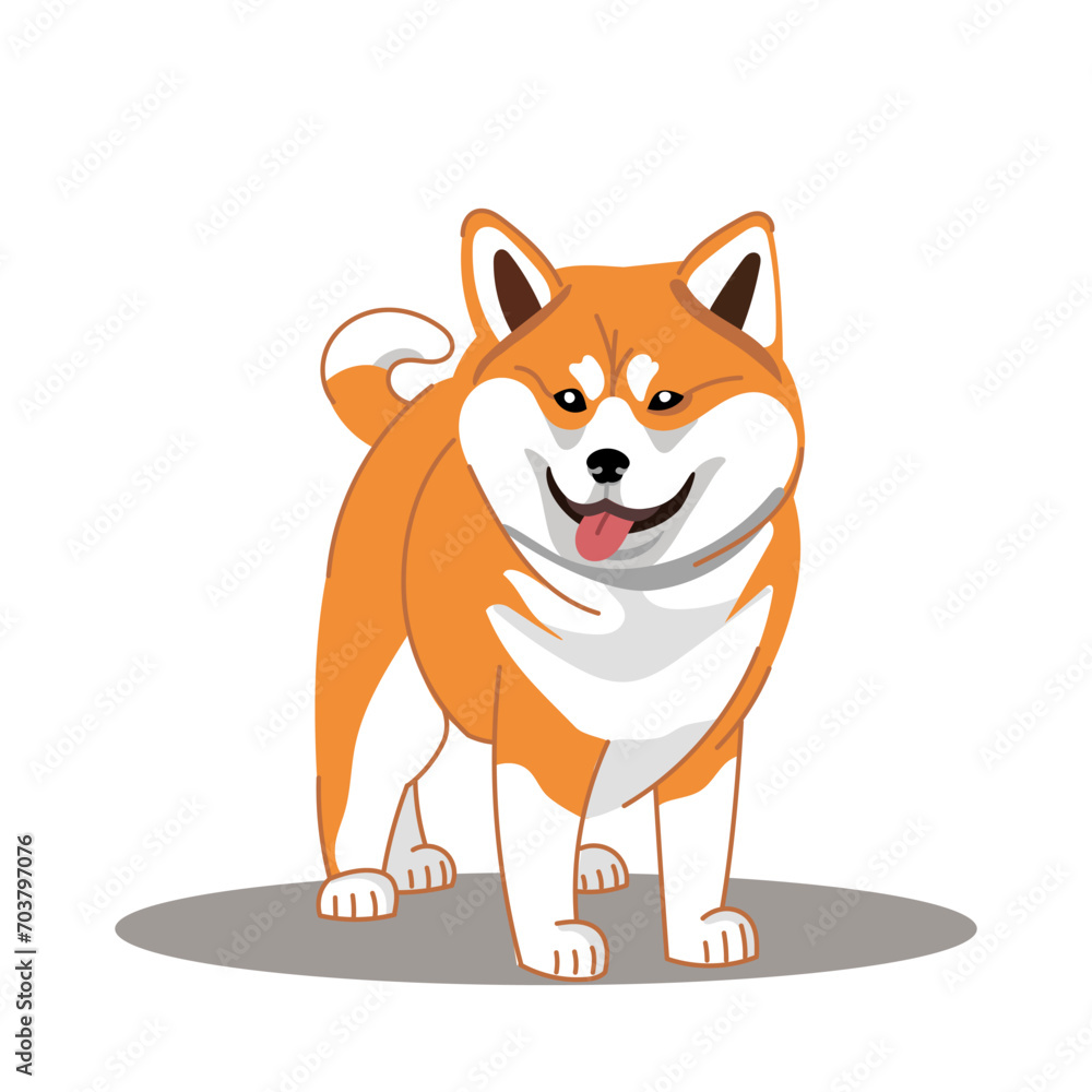 A dog of the Shiba Inu breed. Vector illustration on a white background