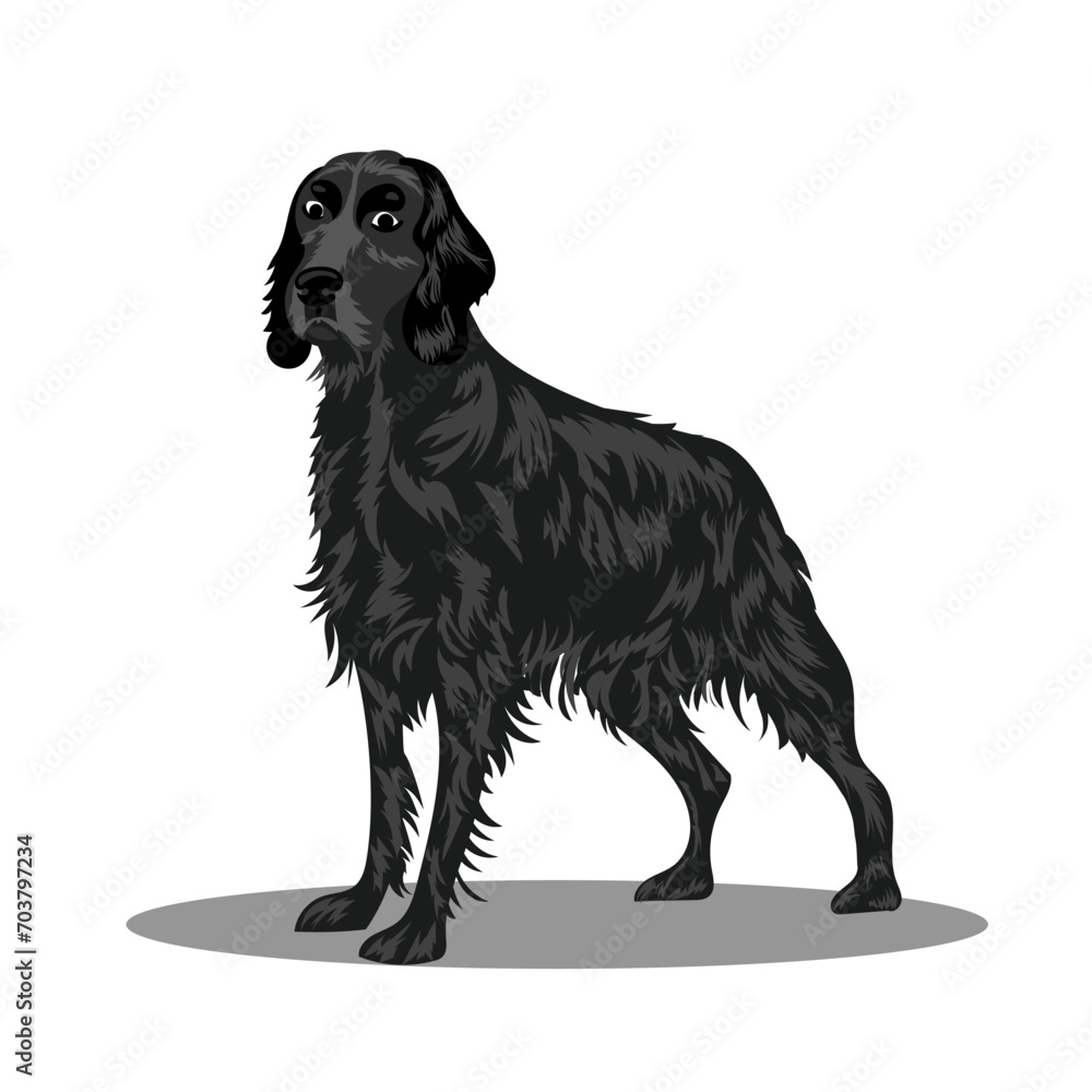 A dog of the Irish Setter breed. Vector illustration on a white background