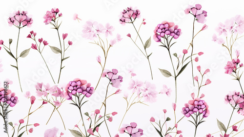 Verbena Pattern White Background