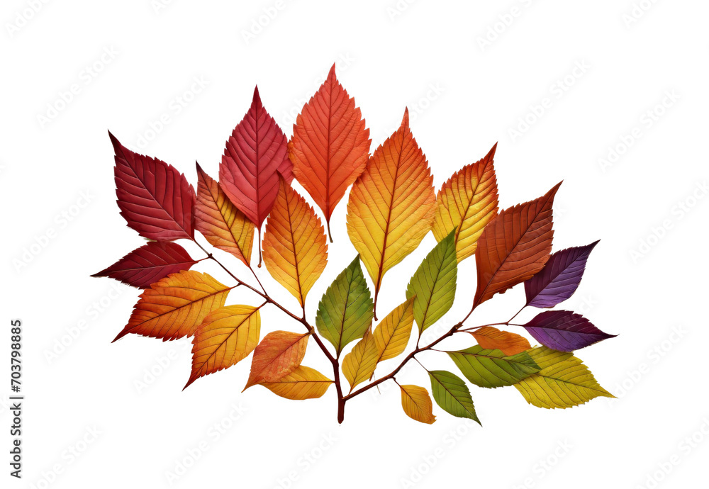 _leaves_changing_color_ _leaves_changing_color_