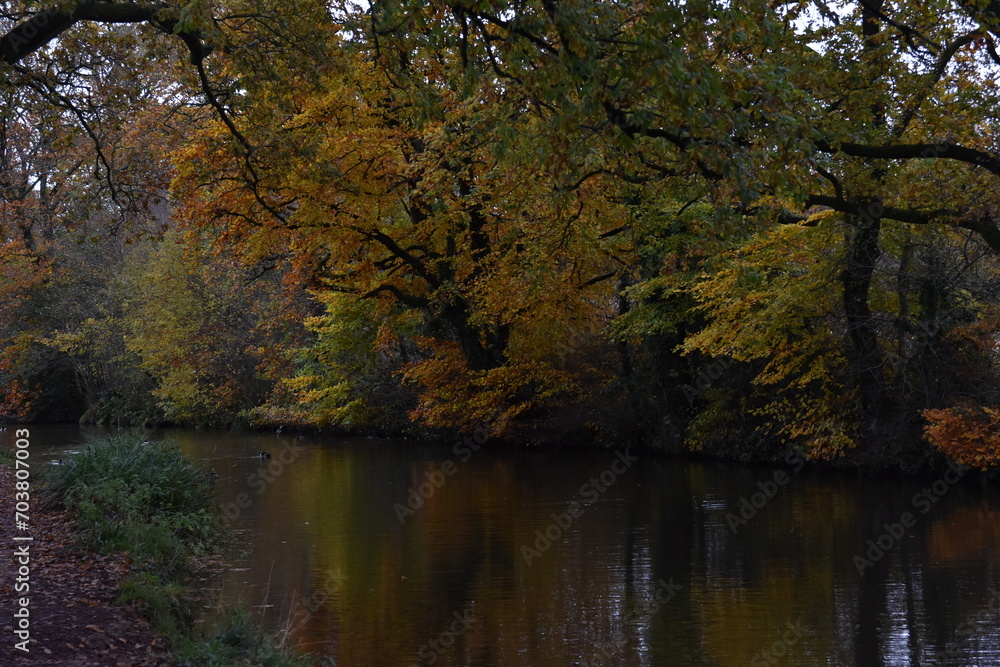 a walk along the grand western canal in Tiverton Devon during autumn 