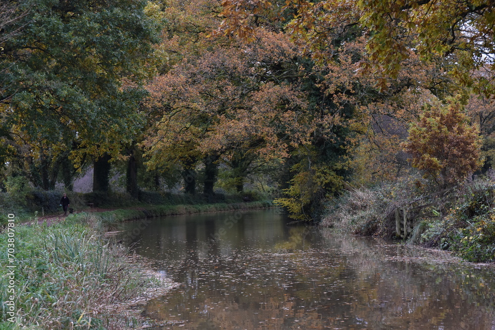 a walk along the grand western canal in Tiverton Devon during autumn a walk along the grand western canal in Tiverton Devon during autumn