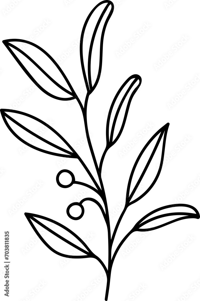 Botanical Floral Hand Drawn Line Art