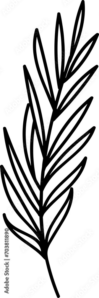 Botanical Floral Hand Drawn Line Art Botanical Floral Hand Drawn Line Art