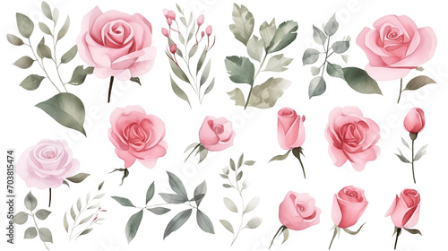 Watercolor elements pink roses on a white background
