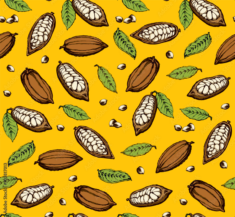 Cocoa Fruits. Vector drawing Cocoa Fruits. Vector drawing