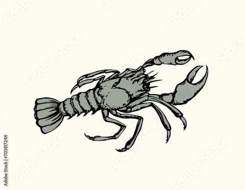 Lobster. Vector drawing