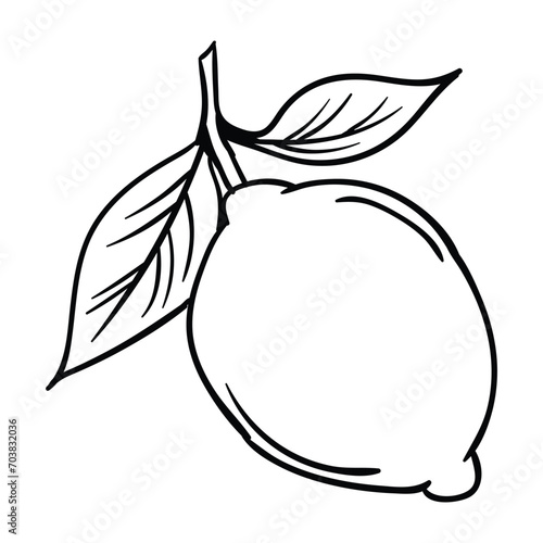 Hand drawing style of lime vector. It is suitable for fruit icon, sign or symbol.