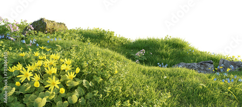 Verdant Hill Blooming with Yellow Flowers in Spring. 3D render.	
