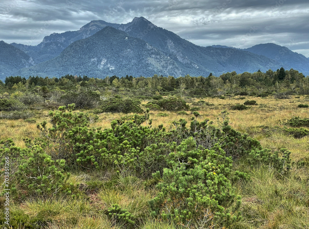 Fototapeta premium Blick über die Kendlmühlfilzen in die Chiemgauer Alpen