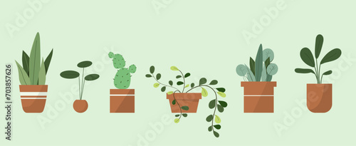 Home plants set. Flowerpots with tropical leaves, cactus. Comfort and coziness indoor. Agriculture, botany and horticulture. Cartoon flat vector collection isolated on green background