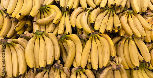Abundant ripe bananas fill the horizontal wallpaper with a vibrant yellow hue, symbolizing the bountiful harvest of the autumn season. Wide Banner