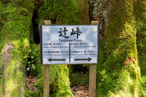 Trail in Shiratani Unsuikyo Ravine on Yakushima Island