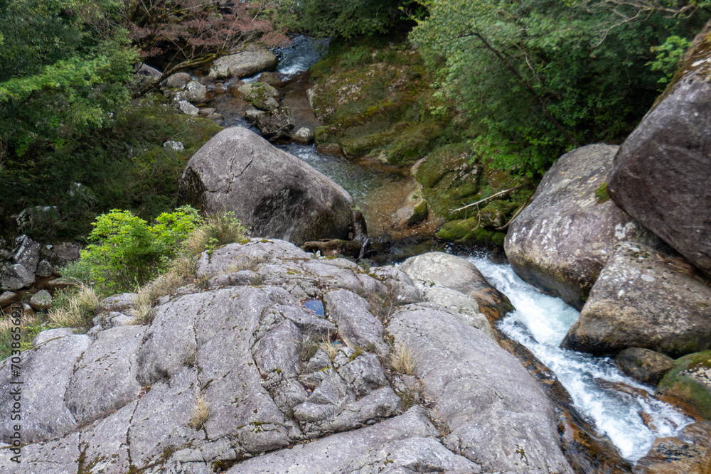 Trail in Shiratani Unsuikyo Ravine on Yakushima Island Trail in Shiratani Unsuikyo Ravine on Yakushima Island