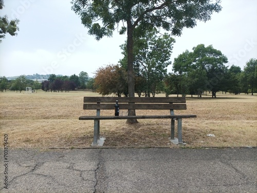 panchina al parco