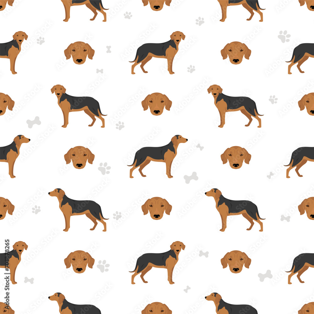 Obraz premium Serbian Hound seamless pattern. All coat colors set