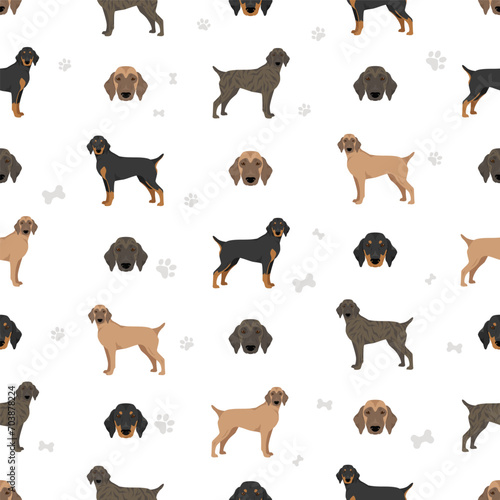 Segugio Maremmano seamless pattern. All coat colors set. All dog breeds characteristics infographic