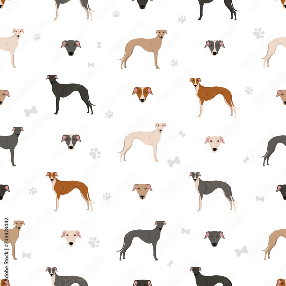 Spanish Greyhound seamless pattern. All coat colors set