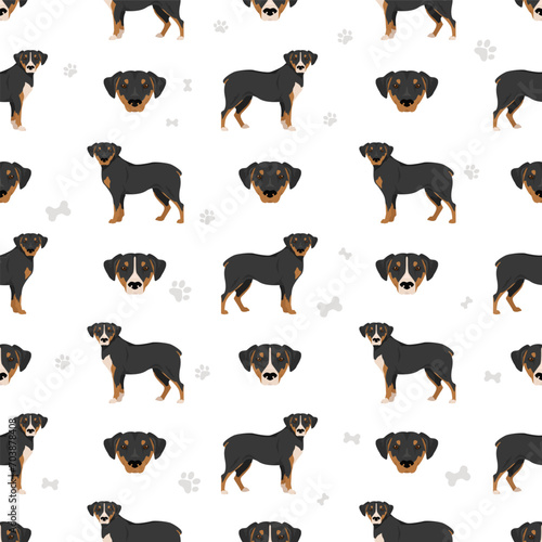 Smaland Hound seamless pattern. All coat colors set