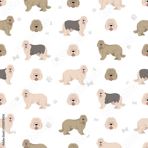 South Russian Sheepdog seamless pattern. All coat colors set