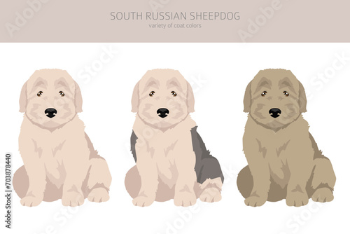 South Russian Sheepdog puppies clipart. All coat colors set.  All dog breeds characteristics infographic