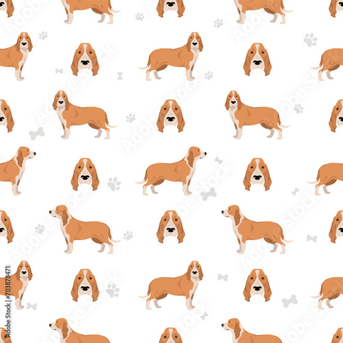 Spanish hound seamless pattern. All coat colors set