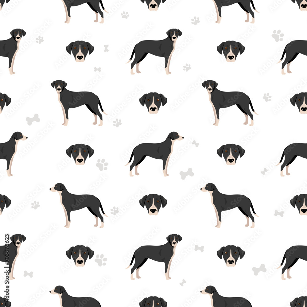 Stephens Cur seamless pattern. All coat colors set.  All dog breeds characteristics infographic.