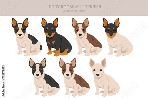 Teddy Roosevelt terrier_6.eps