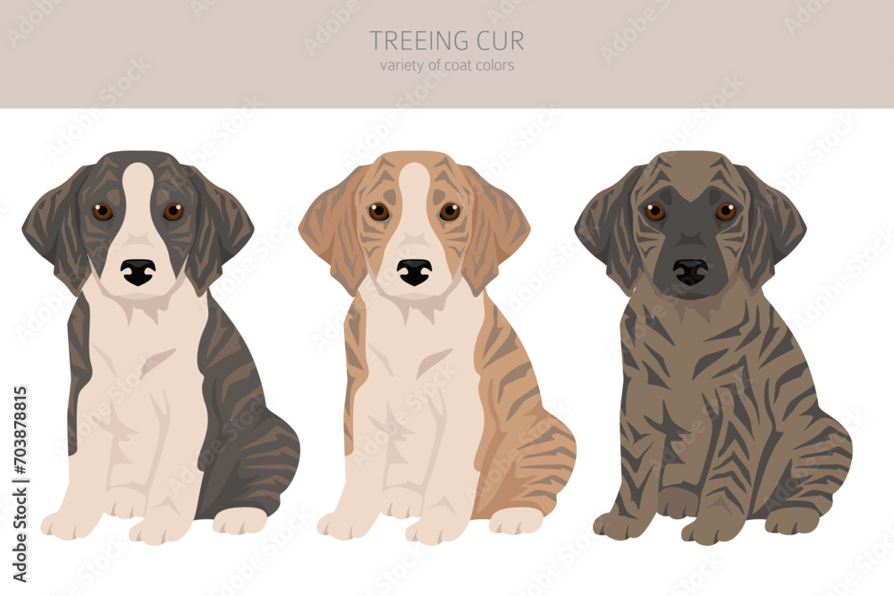 Treeing Cur puppies clipart. All coat colors set. All dog breeds characteristics infographic Treeing Cur puppies clipart. All coat colors set. All dog breeds characteristics infographic