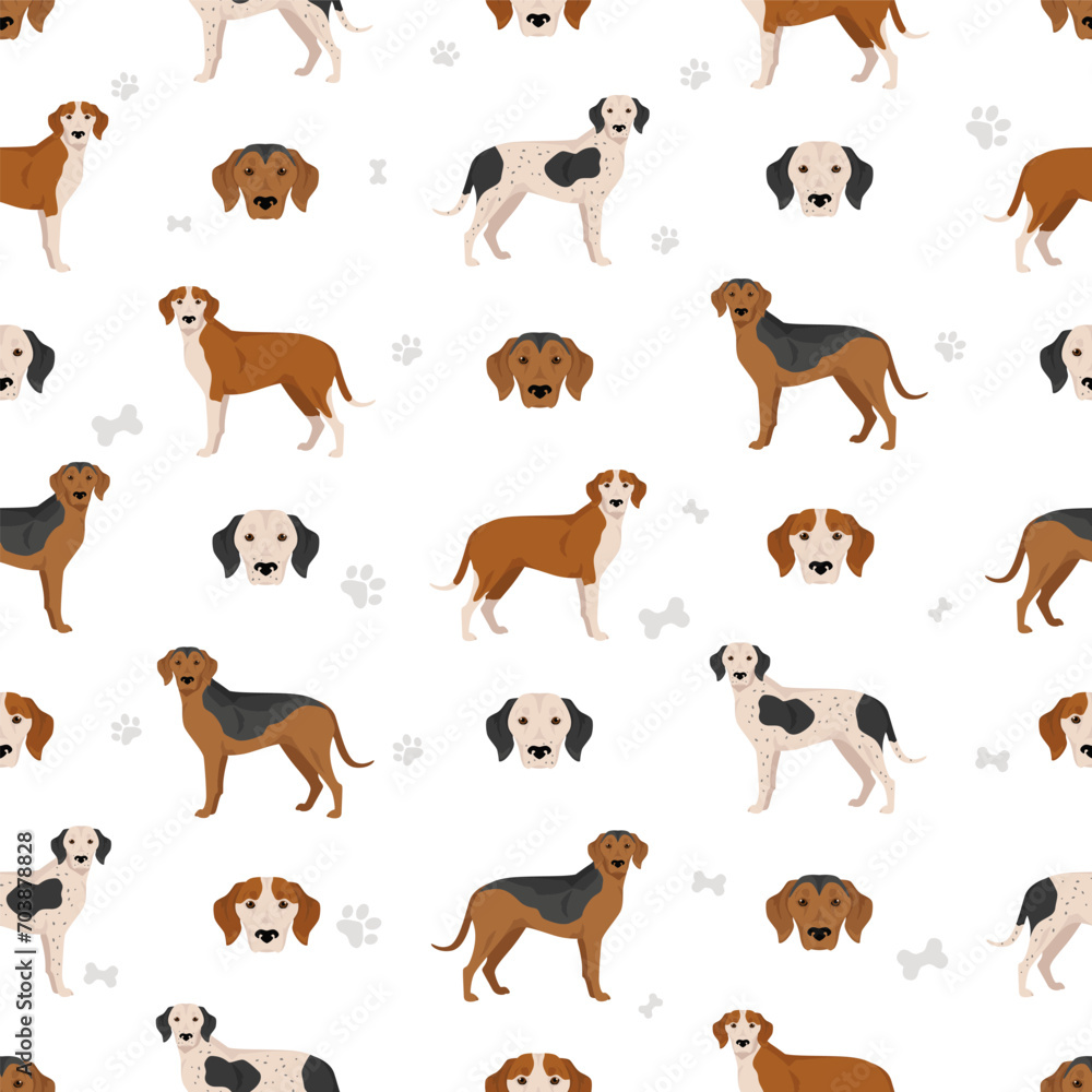 Obraz premium Trigg Hound seamless pattern. All coat colors set. All dog breeds characteristics infographic