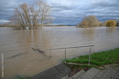 Hochwasser in Köln 2024 photo