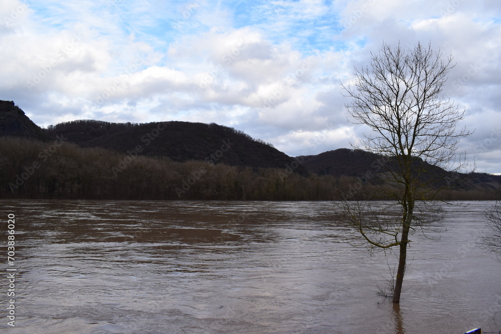 Rhine flood 2024