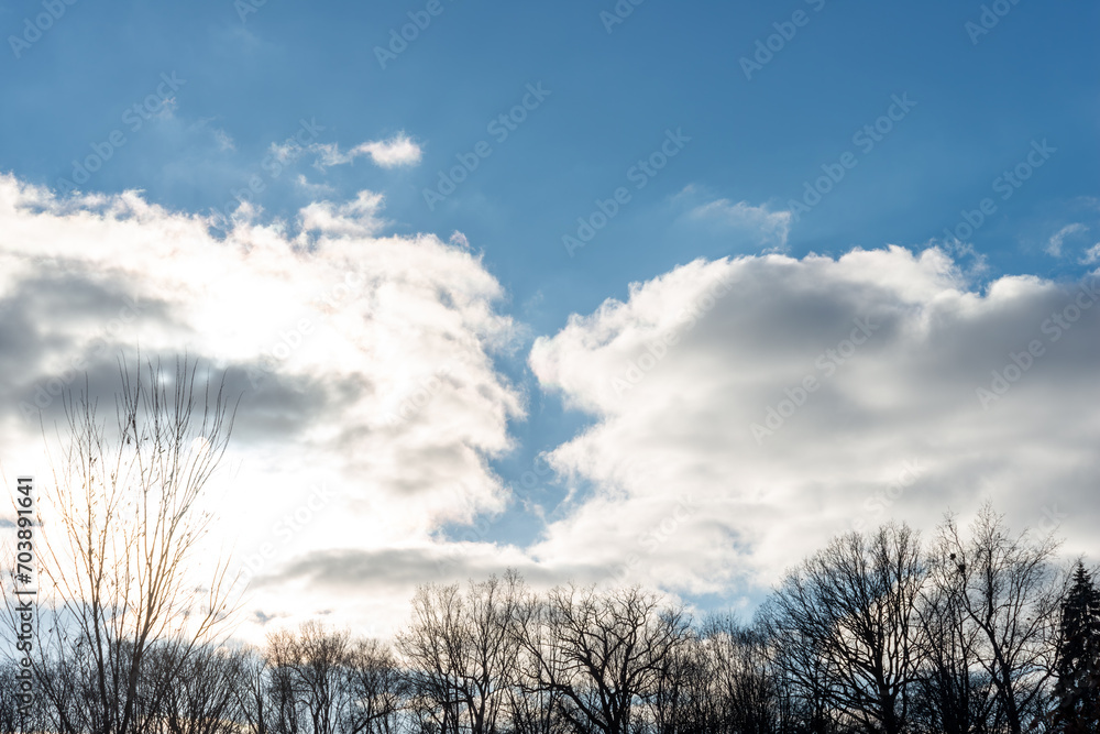 bright clouds and winter trees bright clouds and winter trees