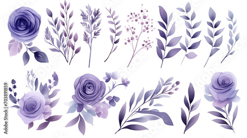 Watercolor elements are purple  blue roses  and flowers on a white background