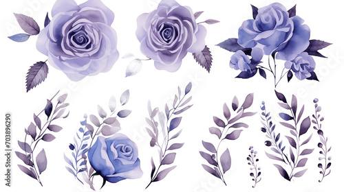 Watercolor elements are purple  blue roses  and flowers on a white background