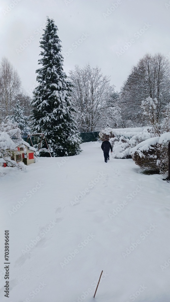 white winter in the garden