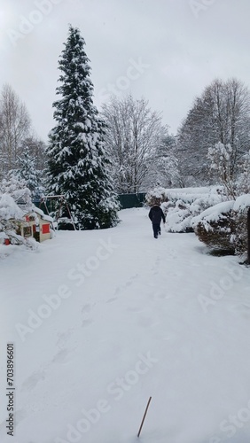 Obraz na płótnie white winter in the garden w salonie