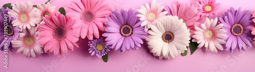 Bright summer background with pink, purple and white gerbera flowers and green leaves on pink background, web banner