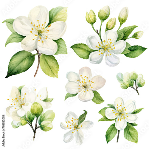 Bunch of White Flowers With Green Leaves, A Peaceful and Natural Composition