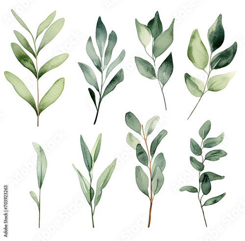 Bunch of Green Leaves on White Background  Fresh and Natural Illustration for Design and Decor