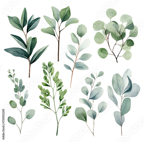 Assorted Green Leaves Arranged on a White Background